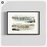 1-40_Sporting-Sketches_blk