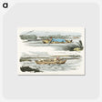 1-40_Sporting-Sketches_postcard