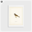 アートポストカード-Eurasian Tree Sparrow
 - スヴェンスカ フォグラル Postcard.