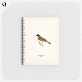 アートメモ帳-Eurasian Tree Sparrow
 - スヴェンスカ フォグラル Memo.