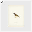 1-40_Svenska-Faglar_postcard
