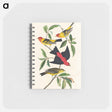 アートメモ帳-Louisiana Tanager and Scarlet Tanager from Birds of America
 - アメリカの鳥たち Memo.