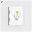 アートメモ帳-Iris Hartwegii from The Genus Iris
 - アヤメ属 Memo.