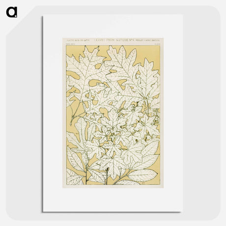 アートポスター-Nineteenth-Century Ornament
 - 装飾の文法 Poster.
