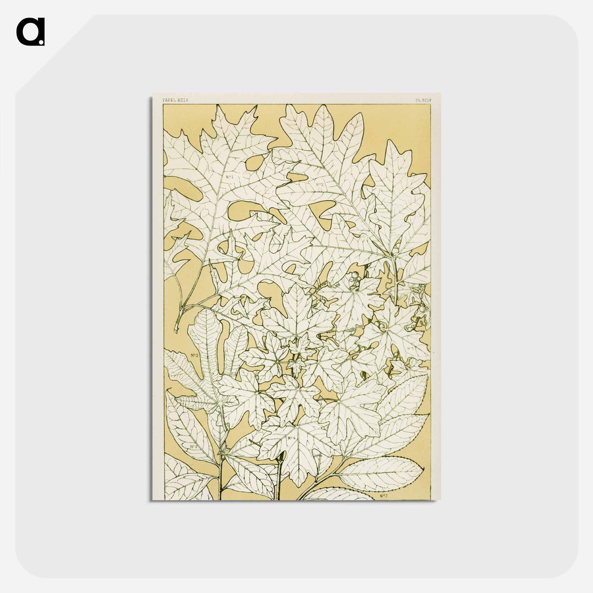 アートポストカード-Nineteenth-Century Ornament
 - 装飾の文法 Postcard.