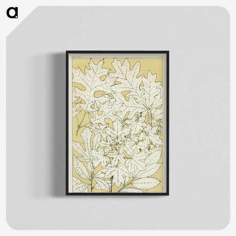 1-40_The-Grammar-of-Ornament_blk-crop