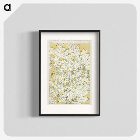 1-40_The-Grammar-of-Ornament_blk