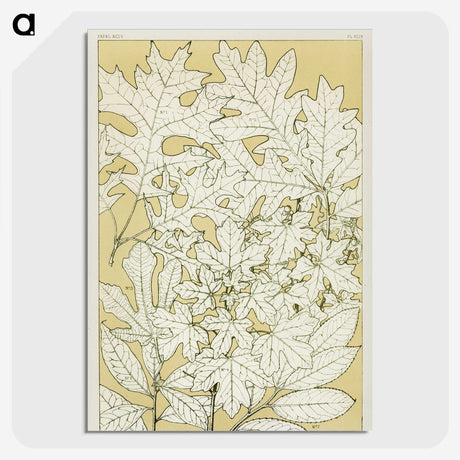 1-40_The-Grammar-of-Ornament_picture-crop