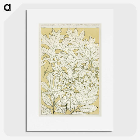 1-40_The-Grammar-of-Ornament_picture