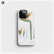 1-40_The-Lilies_phone