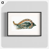 1-40_The-Natural-History-of-British-Fishes_blk