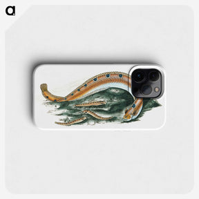 1-40_The-Natural-History-of-British-Fishes_phone