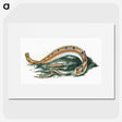 1-40_The-Natural-History-of-British-Fishes_picture