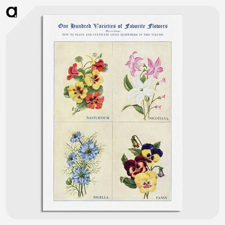 1-40_The-Open-Door-to-Independence_picture-crop