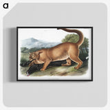 1-40_The-Viviparous-Quadrupeds_blk-crop