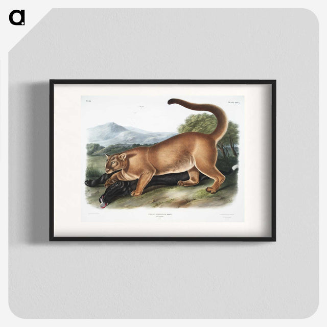 1-40_The-Viviparous-Quadrupeds_blk