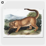 1-40_The-Viviparous-Quadrupeds_picture-crop