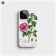 1-40_Treatise-on-Trees-and-Shrubs_phone