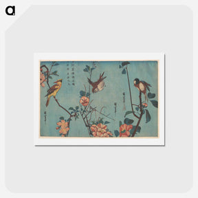 アートポストカード-Titmouse and Camellias, Sparrow and Wild Roses, and Black-naped Oriole and Cherry Blossoms
 - 歌川 広重 Postcard.