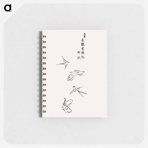 アートメモ帳-Butterflies and Birds - 八丘椿 Memo.