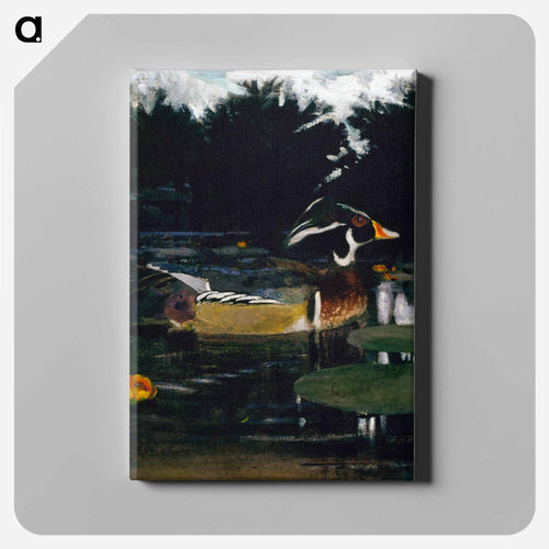Male Wood Duck in a Forest Pool - アボット ハンダーソン セイヤー Canvas.