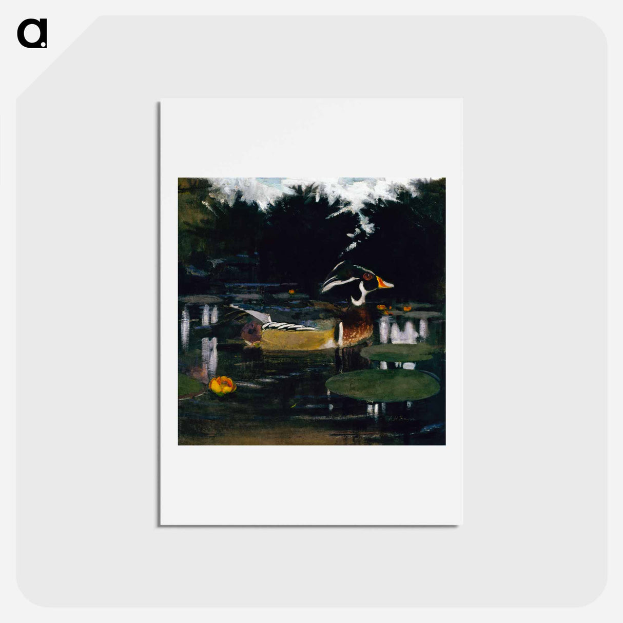 アートポストカード-Male Wood Duck in a Forest Pool - アボット ハンダーソン セイヤー Postcard.