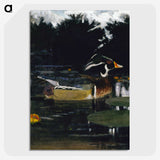 1-41_Abbott-Handerson-Thayer_picture-crop