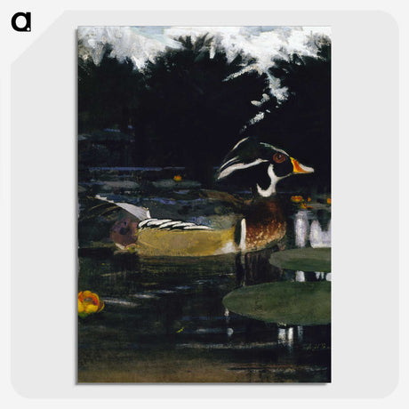1-41_Abbott-Handerson-Thayer_picture-crop