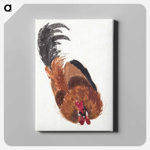 Study of a dead rooster - アールト シューマン Canvas.