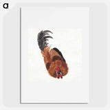 Study of a dead rooster - アールト シューマン Poster.