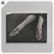 1-41_Alfred-Stieglitz_canvas