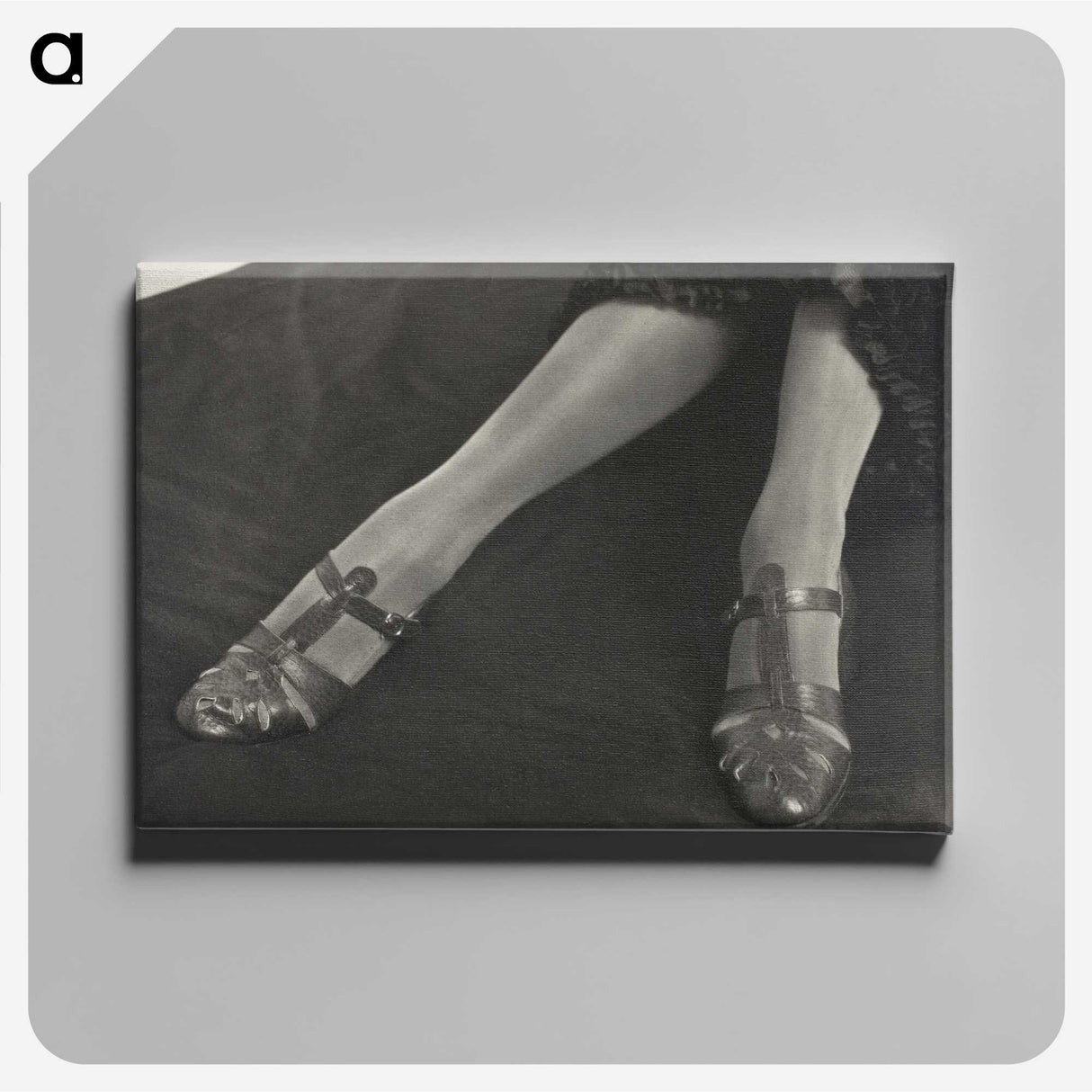 1-41_Alfred-Stieglitz_canvas