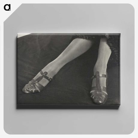 1-41_Alfred-Stieglitz_canvas