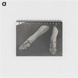 1-41_Alfred-Stieglitz_memo