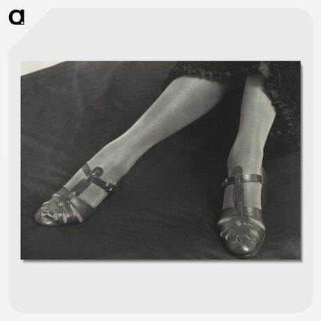 1-41_Alfred-Stieglitz_picture-crop