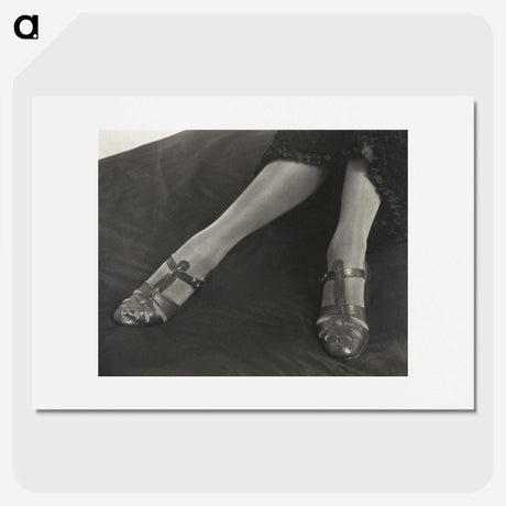 1-41_Alfred-Stieglitz_picture