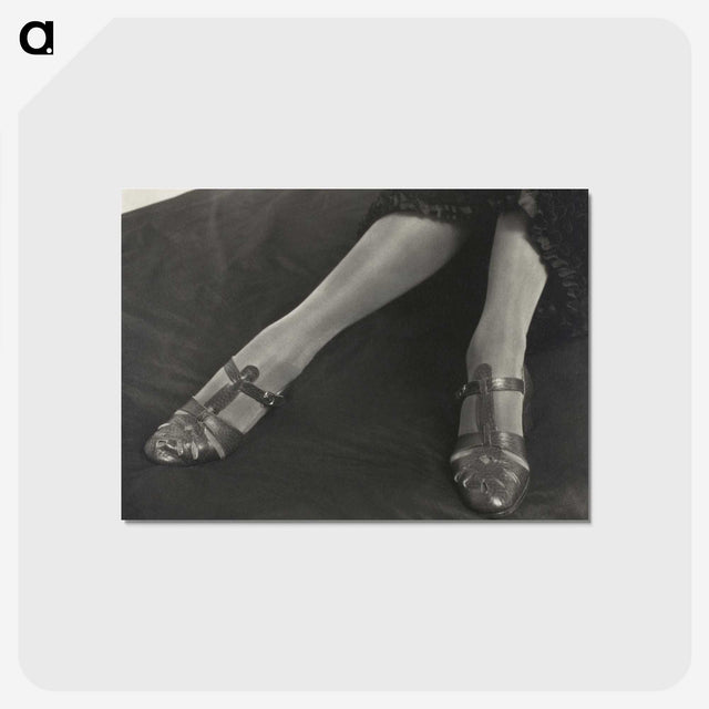 1-41_Alfred-Stieglitz_postcard