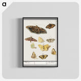 1-41_Anselmus-Boetius-de-Boodt_blk-crop