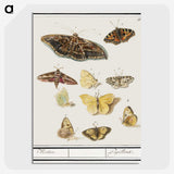 1-41_Anselmus-Boetius-de-Boodt_picture-crop