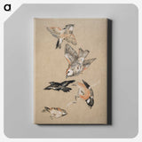 1-41_Birmingham-Museum-and-Art-Gallery_canvas