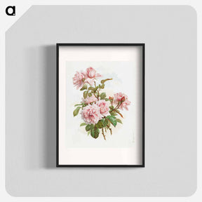 アートポスター-Pink Roses
 - ボストン公共図書館 Poster.