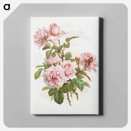 アートパネル-Pink Roses
 - ボストン公共図書館 Canvas.