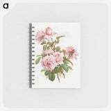 アートメモ帳-Pink Roses
 - ボストン公共図書館 Memo.