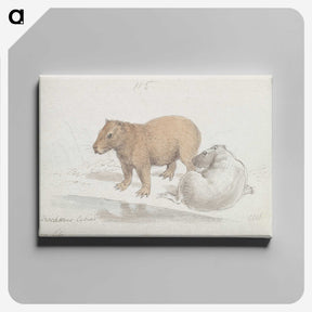 1-41_Charles-Hamilton-Smith_canvas