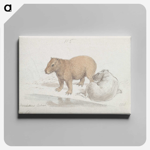 1-41_Charles-Hamilton-Smith_canvas