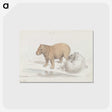 1-41_Charles-Hamilton-Smith_postcard