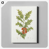 1-41_Christmas_canvas