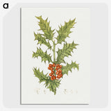 1-41_Christmas_picture-crop