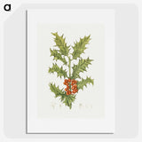 1-41_Christmas_picture