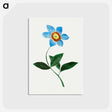 アートポストカード-Star Flower
 - クリーブランド美術館 Postcard.